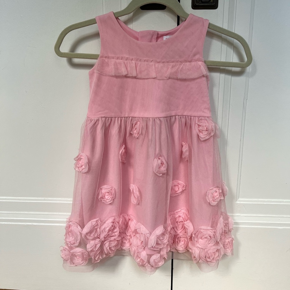 Pink tulle dress with roses 5T